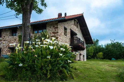 Apartamentos Rurales Larrago, casa rural en Busturia