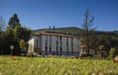 Hotel Balneario Areatza, casa rural en Areatza