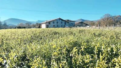 Casa Rural ALDAMOLI Landetxea, casa rural en Ayala