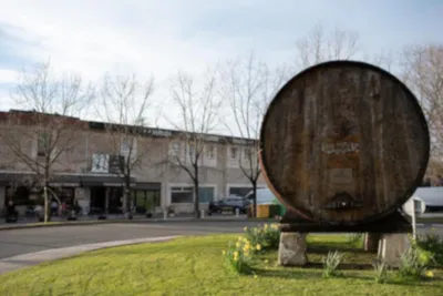 Pensión y Apartamentos Txingurri, casa rural en Astigarraga