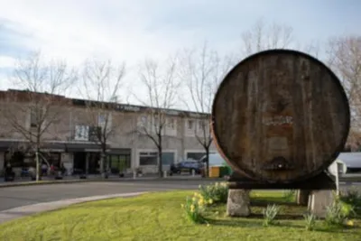 Pensión y Apartamentos Txingurri, casa rural en Astigarraga