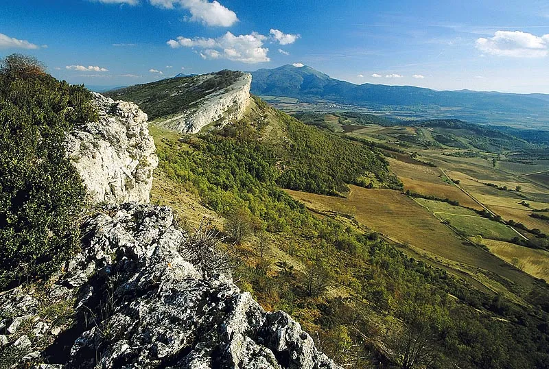 Paisaje de Araba y Rioja Alavesa, llanuras y viñedos, con casas rurales en el interior de Euskadi