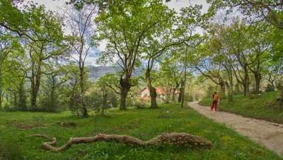 Parque Natural de Pagoeta